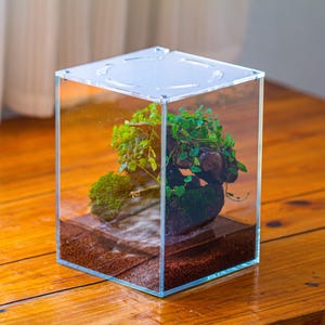 Watertight Glass Tank with LED Grow Lamp, Acrylic Lid, DIY Planting Material Set, Terrarium Kit for Carnivorous Plants, Ship to Worldwide bild 5