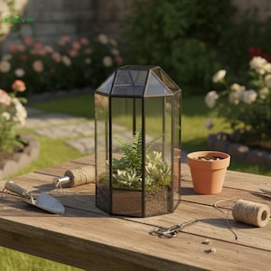 Digitale Zeichnung für großes geometrisches Terrarium mit öffnender Tür (nur digitale Dateien)