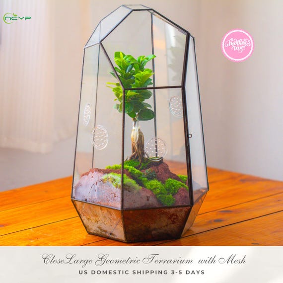 US Domestic Shipping Handmade Extra Large Glass Terrarium with Vents, Tall Irregular Geometric Design, 16 inch, Terrarium Only, PG01D4