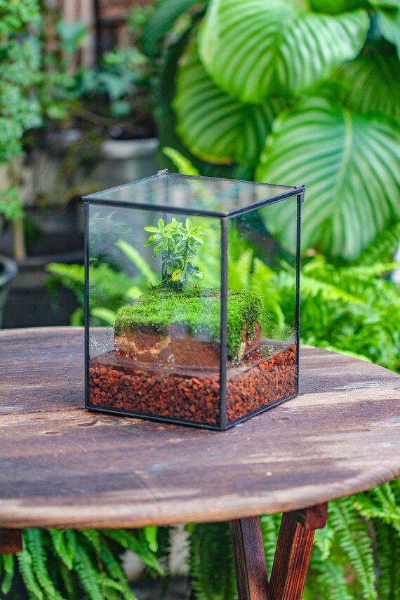 Handmade Watertight Glass Terrarium With Lid: Moss Landscape Planter  (6x6x8'') (terrarium Only), Mother's Day Gift - Etsy