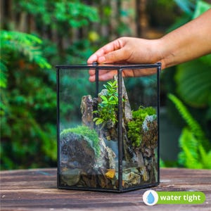 Handgefertigtes 5x5x8 &#39;&#39; WaterTight Glasterrarium mit Deckel, Zinn versiegelt Pflanzgefäß, für kleinen Wasserteich, Mooslandschaften (Pflanzen nicht enthalten)
