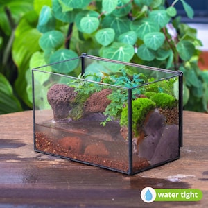 Handgemachtes wasserdichtes Glasterrarium mit Deckel: Moos-Landschaftspflanzer (21 x 12 x 14 cm) (nur Terrarium)
