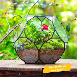 Ship to US Handmade Ball Irregular Glass Open/ Close Terrarium for Plants, Geometric Planter, for Plants, Succulent, Terrarium Only