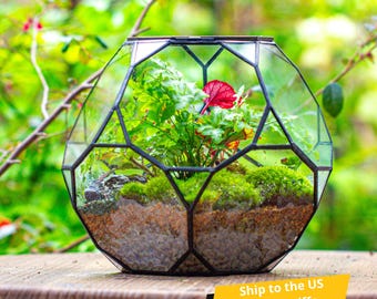 Ship to US Handmade Ball Irregular Glass Open/ Close Terrarium for Plants, Geometric Planter, for Plants, Succulent, Terrarium Only