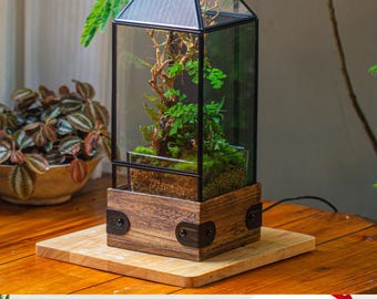 May include: A tall, rectangular insect enclosure terrarium featuring a black metal frame with mesh side panels and a glass front. The base is constructed from dark wood with black metal corner accents, housing a small plant and moss.