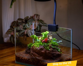 May include: A clear glass terrarium tank containing a dark brown rock base covered in green moss and small pitcher plants. A black adjustable LED light fixture is clamped to the top edge of the glass, extending upward with a circular light head.