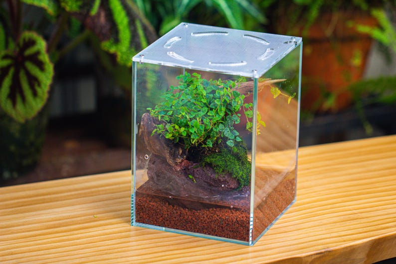 Watertight Glass Tank with LED Grow Lamp, Acrylic Lid, DIY Planting Material Set, Terrarium Kit for Carnivorous Plants, Ship to Worldwide bild 4