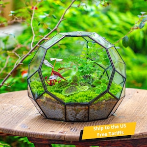 Ship to US Handmade Moon Glass Open/ Close Terrarium for Plants, Propagation Station Geometric Planter, for Plant, Succulent, Terrarium Only