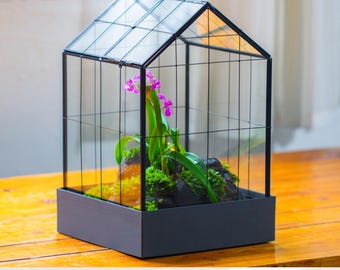 Made to Order 11” Vintage Greenhouse Glass Terrarium with Water-Holding Tray and Top Door (Terrarium Only)