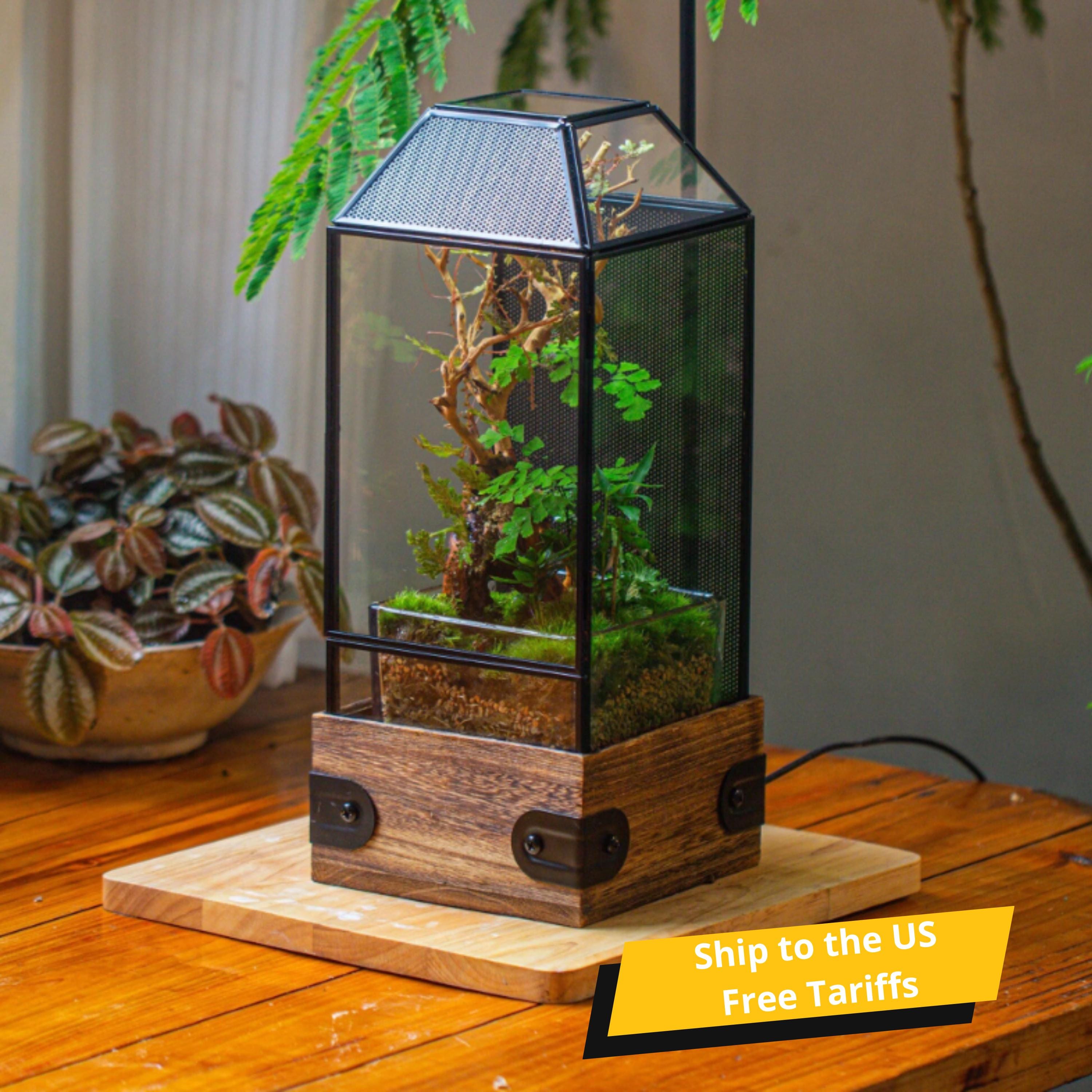 US Domestic Handmade Glass Terrarium with Wood Base, Jumping Spider Enclosure, with Mesh Vent for Plants, Snail, Insects (Plant Excluded)