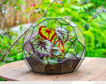 US Domestic Pre-Order Handmade Moon Glass Terrarium, Open Planter, Geometric Planter (Terrarium Only)