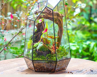 US Domestic Pre-Order Handmade Closed Extra Large Tall Irregular Glass Geometric Tropical Terrarium with Door, 41cm/16'' (Terrarium Only)