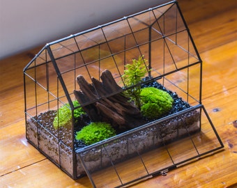 Handmade Greenhouse inspired tin and glass geometric Terrarium, side door, Close, for moss, fern, shade plants, micro landscape