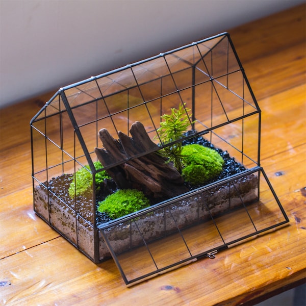 Handmade Greenhouse inspired tin and glass geometric Terrarium, side door, Close, for moss, fern, Mother's Day Gift
