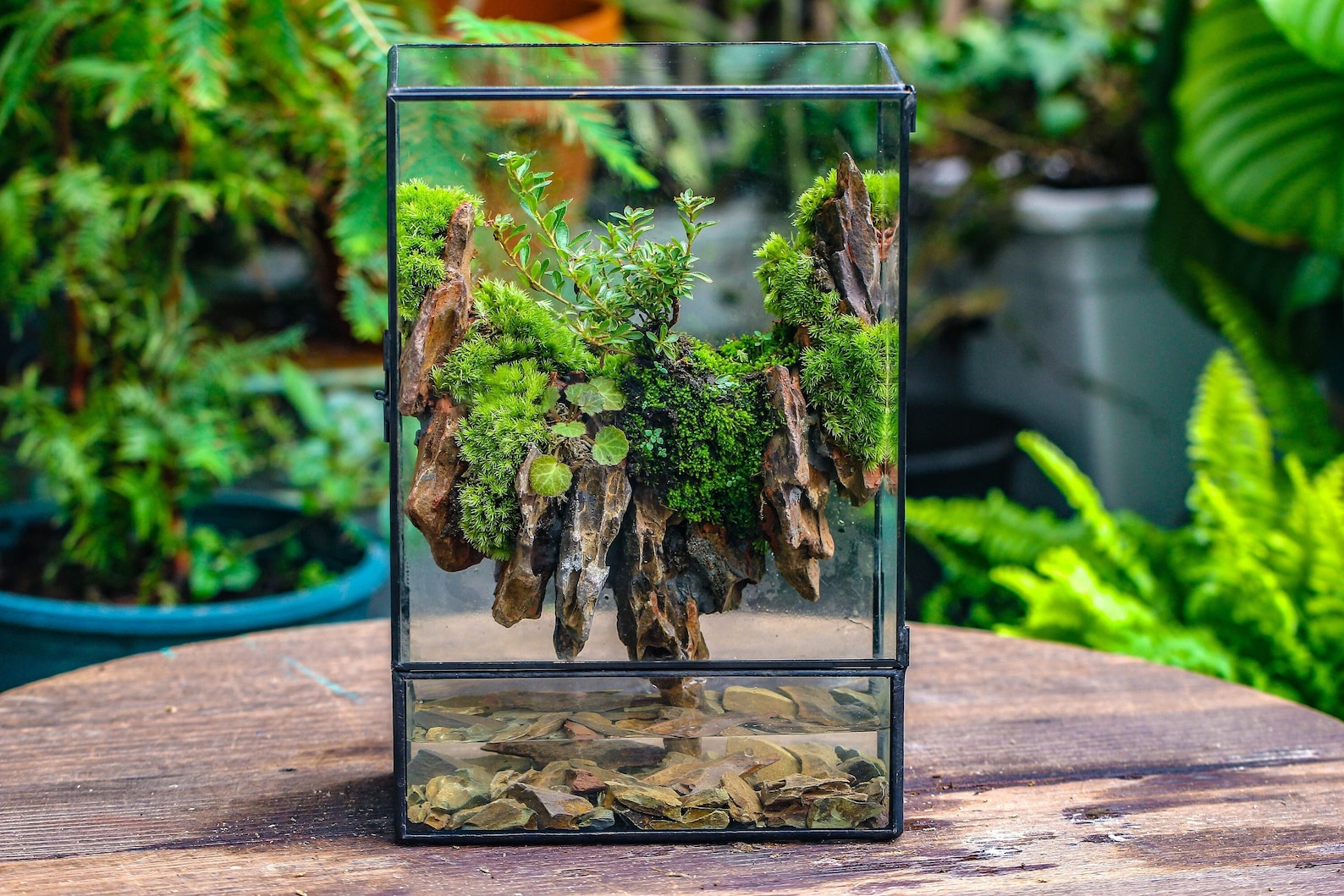 Premium Handcrafted Garden Greenhouse