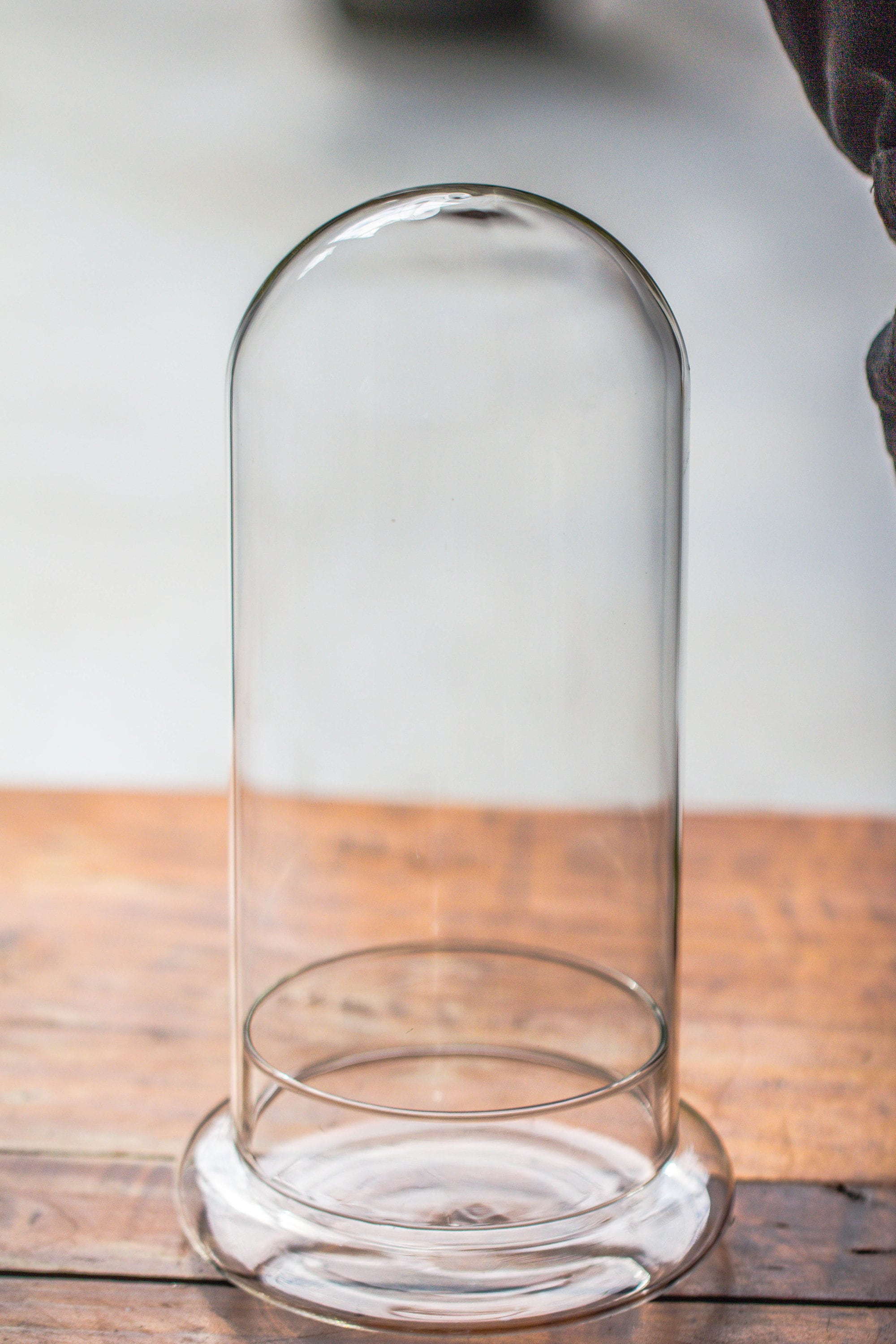 Glass Cloche Terrarium Bell Jar With Glass Base, With LED Grow Light ...