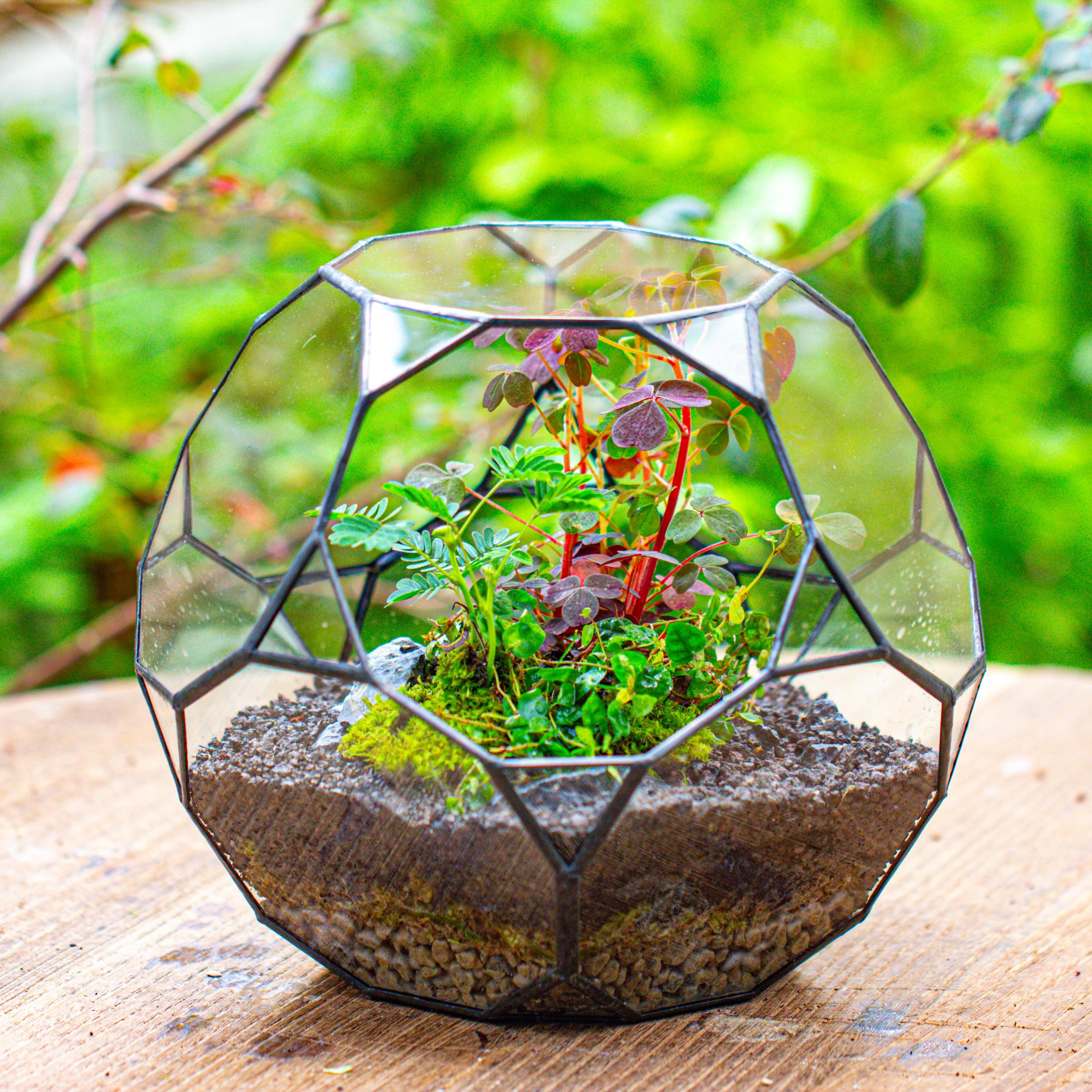 Handmade Ball Irregular Glass Open/ Close Terrarium for Plants, Propagation  Station Geometric Planter, for Plant, Succulent, Terrarium Only - Etsy