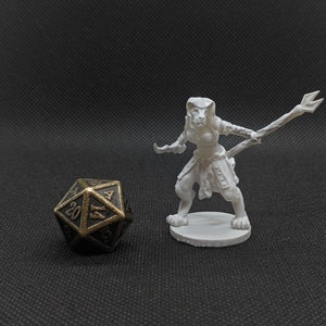 Leonin Huntress