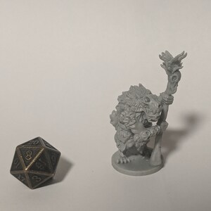 Gnoll Schamane