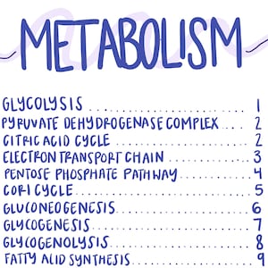 MCAT Metabolism Pathways PDF