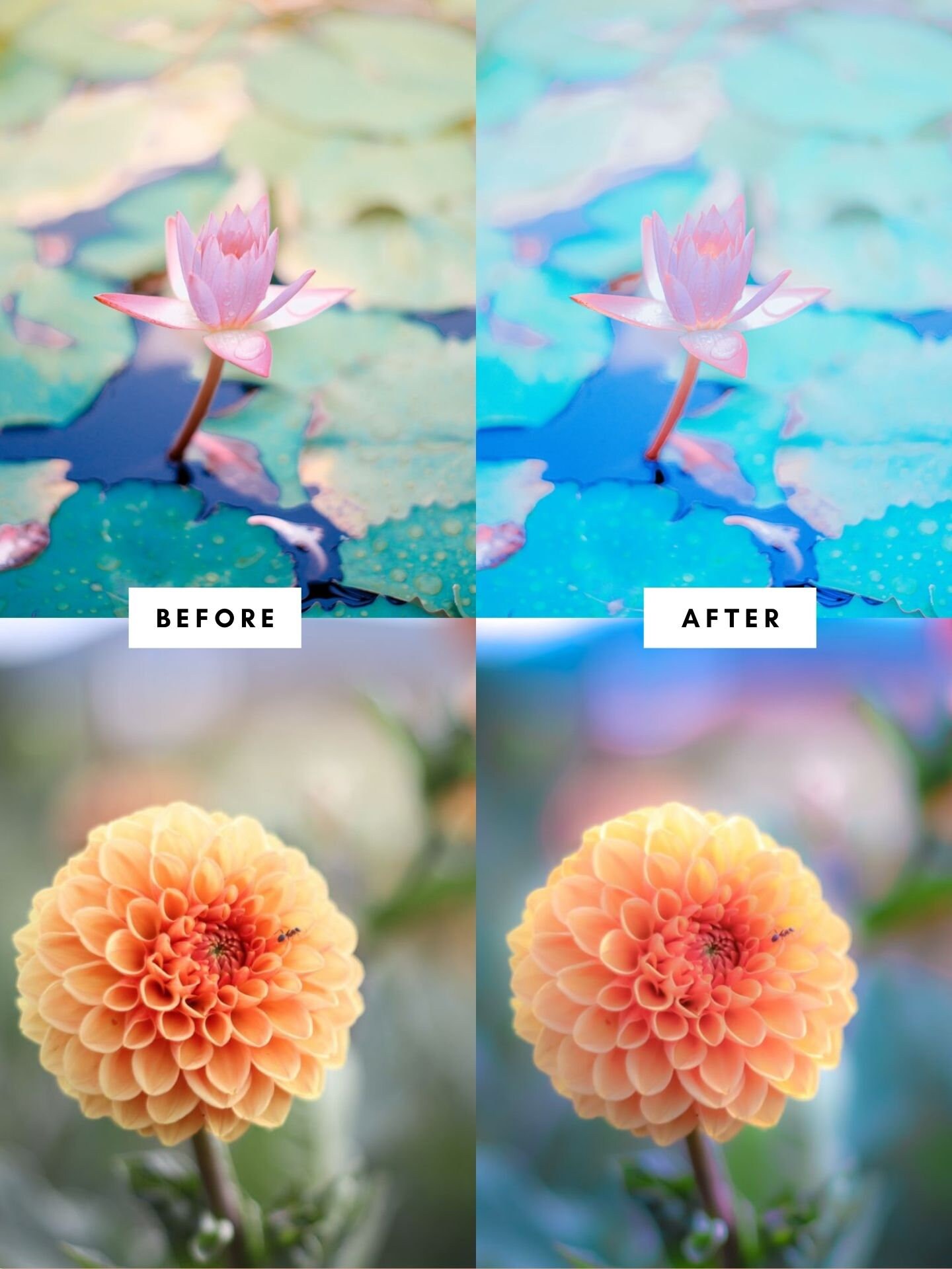 5 Lightroom Pastel Flower Mobile Preset/Preset Lightroom Etsy