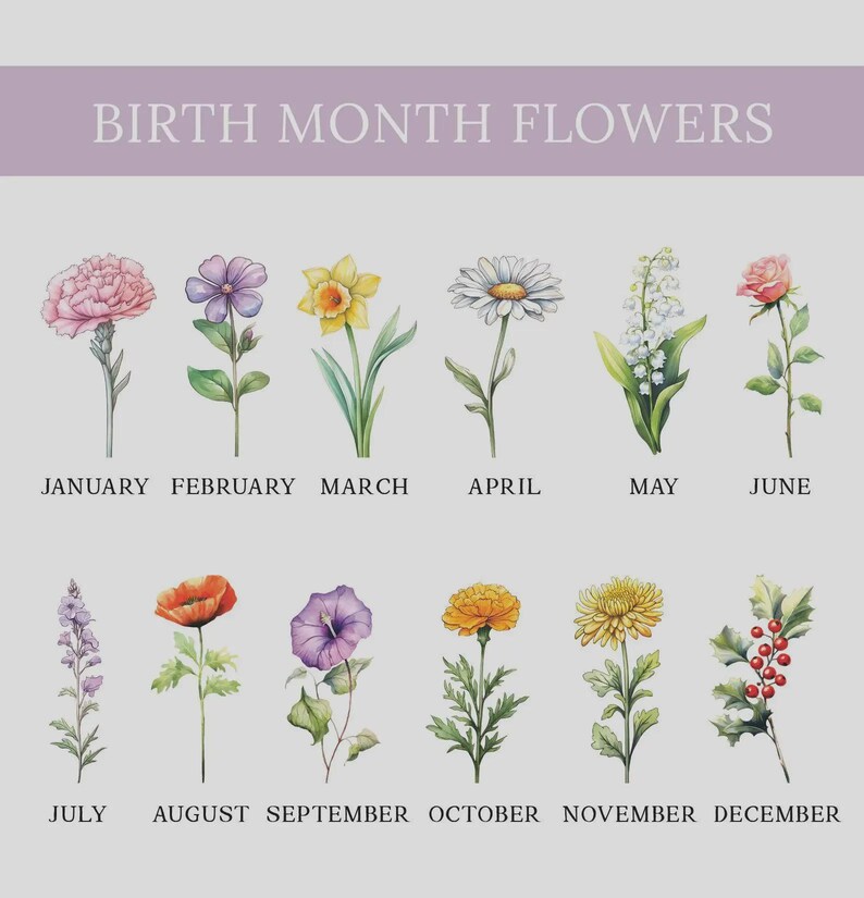 May include: A chart titled BIRTH MONTH FLOWERS featuring twelve watercolor-style illustrations of flowers corresponding to each month from January to December, including a carnation, violet, daffodil, daisy, lily of the valley, rose, larkspur, poppy, morning glory, marigold, chrysanthemum, and holly.