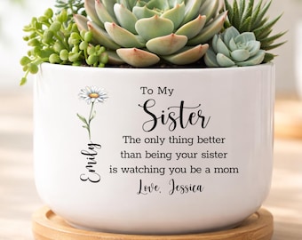 Personalized Sister Mother’s Day Planter Gift, Custom Sister Mom Gift, New Mom Gift from Sister (HC-EHLWL89)