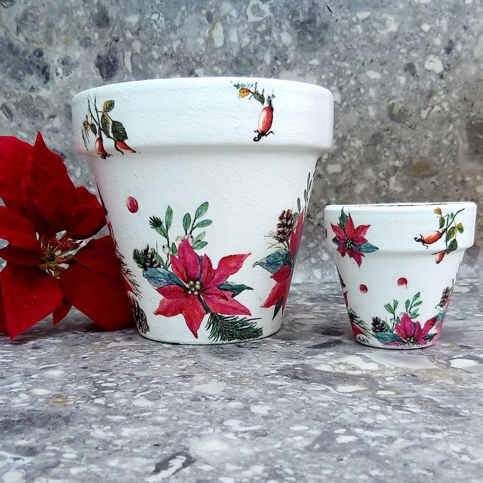Plant pot gift set Christmas flower pots Large and small  Etsy