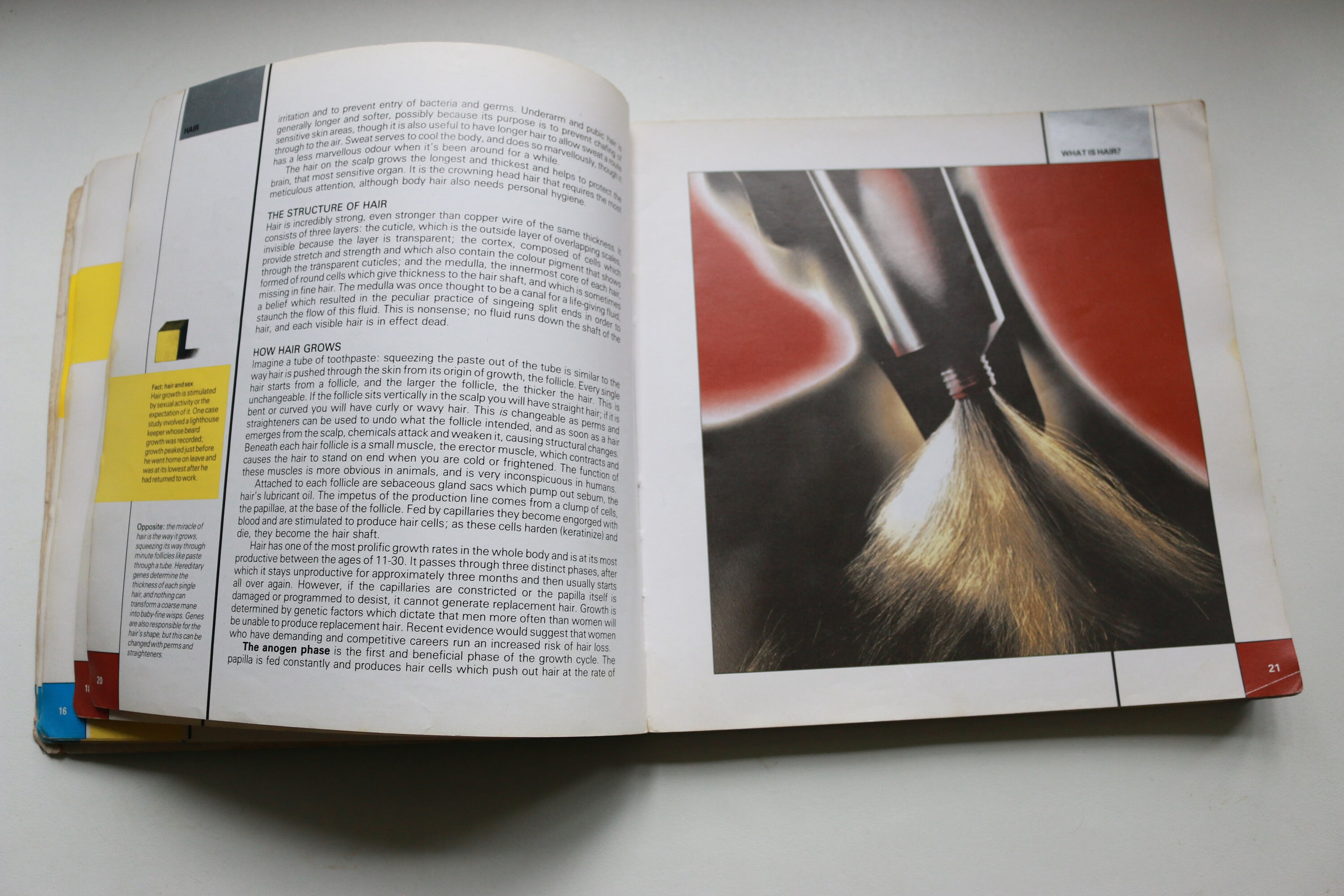 The Body Shop Book by Anita Roddick Skin Face Hair Body Etsy