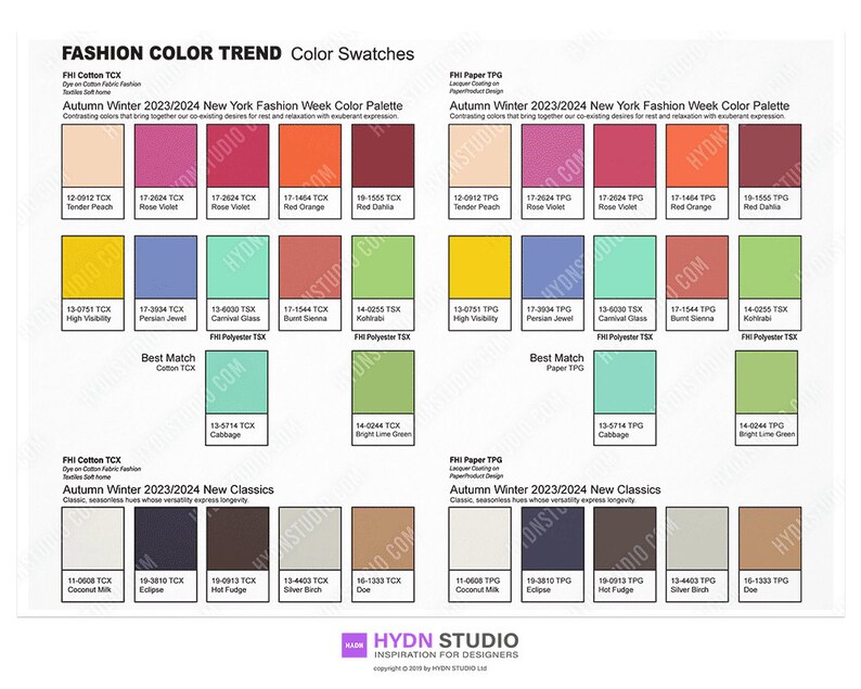 Vector 2023-2024 Autumn/winter New York Fashion Trend Color Swatches AI ...