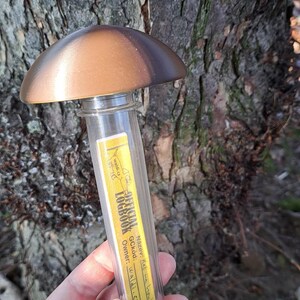 mushroom complete geocache (logbook and PET included)