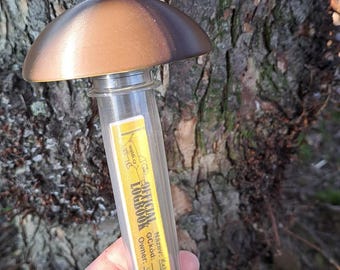 mushroom complete geocache (logbook and PET included)