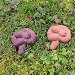 Peut inclure: Deux sculptures en forme de cerveau, une violette et une pêche, reposent sur de l'herbe verte et du feuillage. Les sculptures ont une surface texturée et une base en forme de tige.