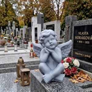 Peut inclure: Une statue de chérubin grise, les mains jointes et des ailes déployées, est posée sur une pierre tombale en granit dans un cimetière. La pierre tombale porte le nom "VLASTA HORÁKOVÁ" et les dates "† 1935 - 2021". Des roses rouges et blanches sont à la base.