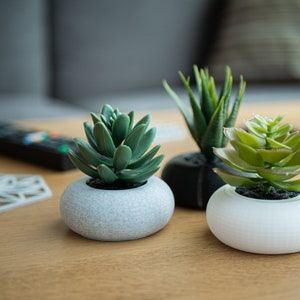 May include: Three small potted plants with green leaves. The plants are in white, grey, and black pots. The pots are sitting on a wooden table.