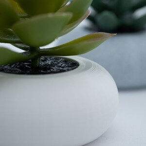 May include: Close-up of a white, round ceramic planter with a green succulent plant. The plant has thick, fleshy leaves and is potted in dark soil. A second, similar plant in a gray pot is slightly out of focus in the background.
