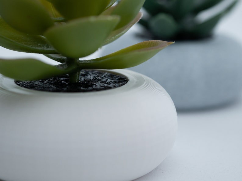 May include: Close-up of a white, round ceramic planter with a green succulent plant. The plant has thick, fleshy leaves and is potted in dark soil. A second, similar plant in a gray pot is slightly out of focus in the background.