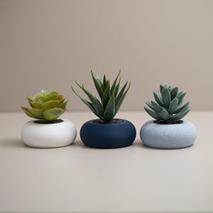 May include: Three small succulent plants in round, low-profile pots. The succulents are green, with varying shades and textures. The pots are white, navy blue, and light gray. The plants are arranged in a row, creating a minimalist aesthetic.