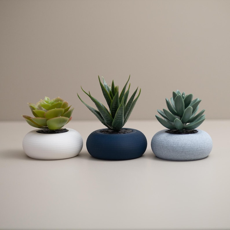 May include: Three small succulent plants in round, low-profile pots. The succulents are green, with varying shades and textures. The pots are white, navy blue, and light gray. The plants are arranged in a row, creating a minimalist aesthetic.