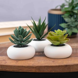 May include: Three artificial succulents in white, round, textured pots. The succulents vary in shades of green, with one having a rosette shape, another with pointed leaves, and the third with a spiky appearance. The pots sit on a wooden surface.