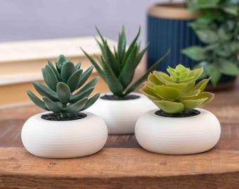 Artificial Succulent Planter in White: Set of 3 Small Plants, Shelf Home Decor, Office