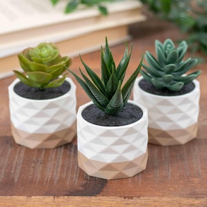May include: Three small artificial succulent plants in white and tan geometric pots. Each pot features a faceted, diamond-like pattern on the upper white section and a solid tan base. The plants include a rosette, a spiky aloe-like plant, and a leafy succulent.
