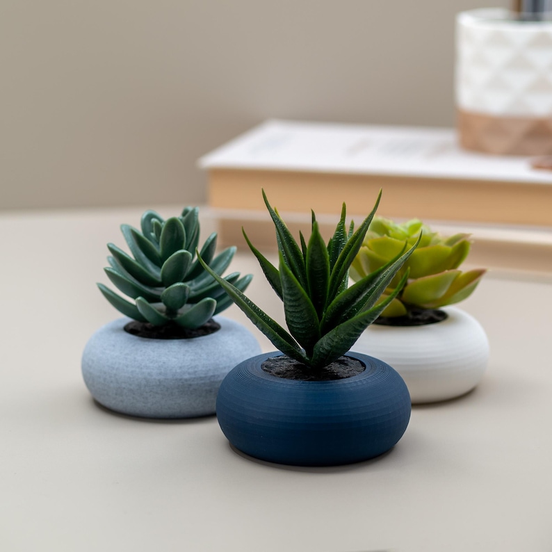 May include: Three small succulent plants in round, textured pots. The pots are in shades of blue and white. The succulents have green leaves. The plants are arranged on a neutral surface.
