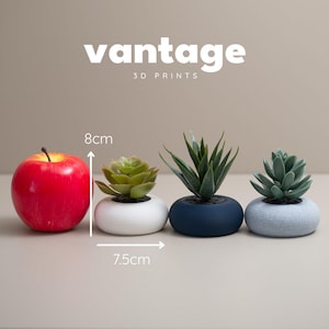 May include: A red apple next to three small potted succulents. The succulents are in white, navy blue, and light gray pots. The text "vantage 3D Prints" is at the top. The apple is 8cm tall and the succulents are 7.5cm wide.