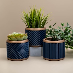 May include: Three blue and gold geometric planters with different patterns. The planters are filled with green plants.