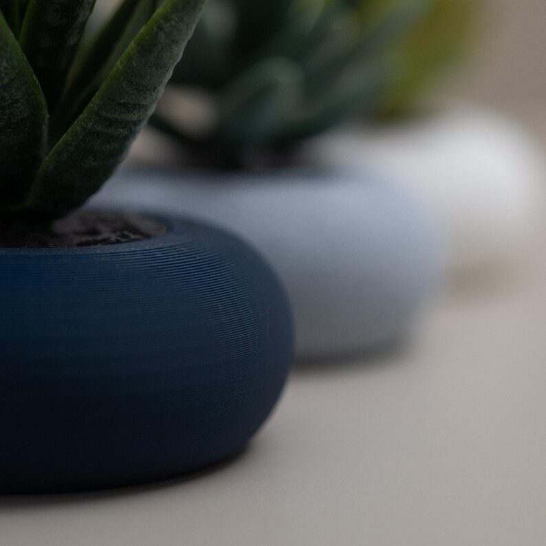 May include: Three small, round, decorative planters in a row, each holding a small succulent plant. The planters are in shades of navy blue, light blue, and white. The focus is on the navy blue planter in the foreground.