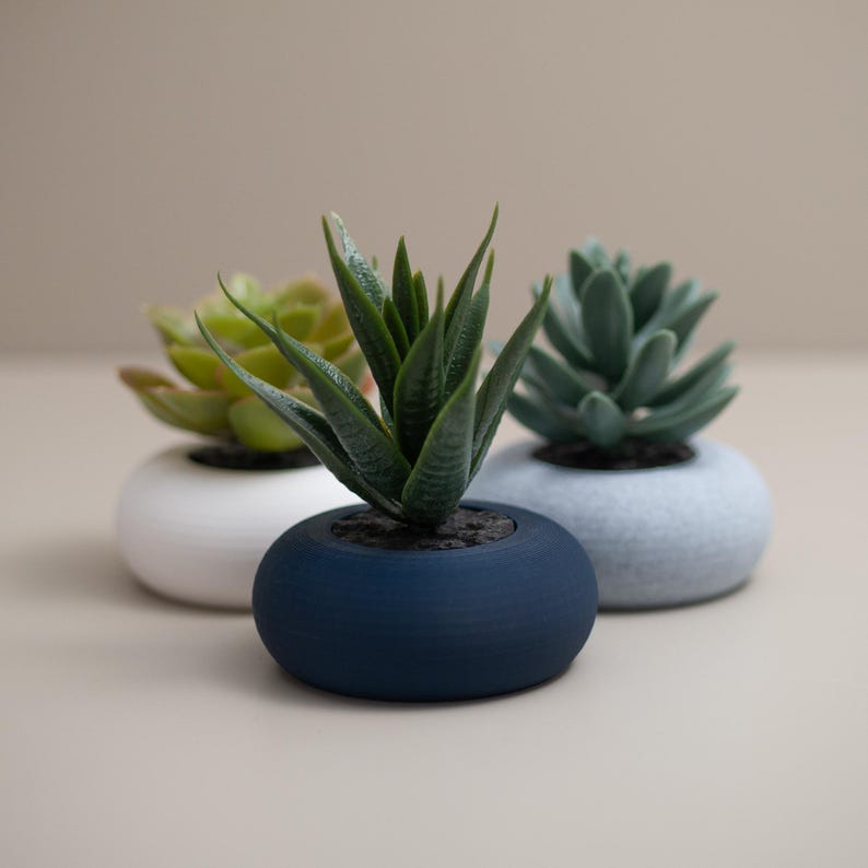 May include: Three small, artificial succulents in round, painted pots. The pots are white, navy blue, and light blue. The succulents are green and have different textures and shapes, creating a natural aesthetic.