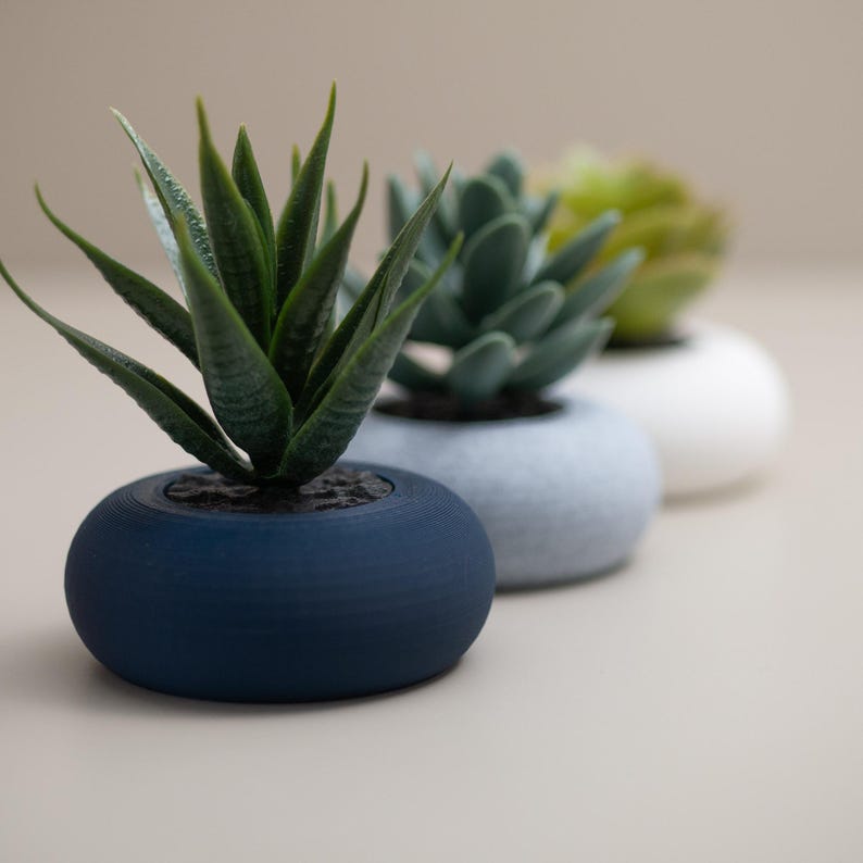 May include: A row of small, decorative succulent plants in round, textured pots. The pots are in navy blue, light gray, and white. The succulents have green and gray-green leaves. The plants are arranged in a line, with the navy blue pot in the foreground.