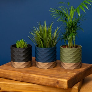 May include: Three geometric planters with different coloured glazes. The planters are on a wooden surface. The plants are a succulent, a green grass-like plant, and a small palm tree.