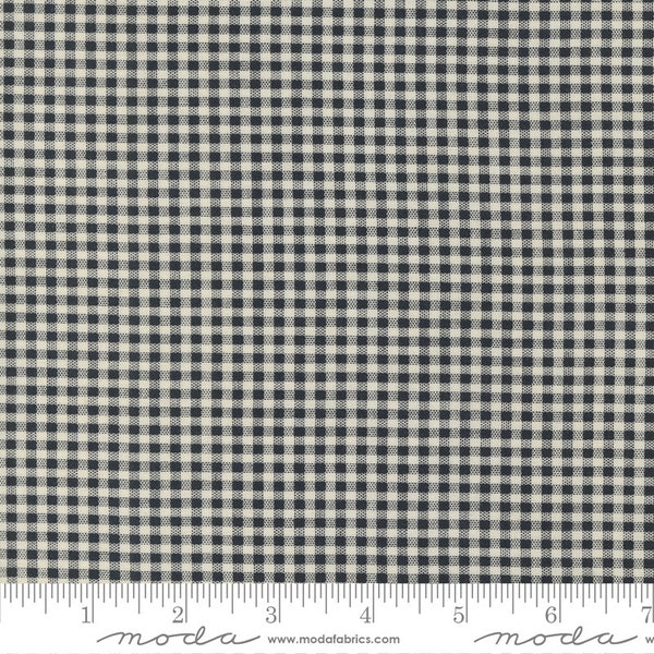 Florence's Fancy Fabric by the Yard. By Betsy Chutchian for Moda Home Decor Fabric. Cottage Core, New Release Victorian black & white check